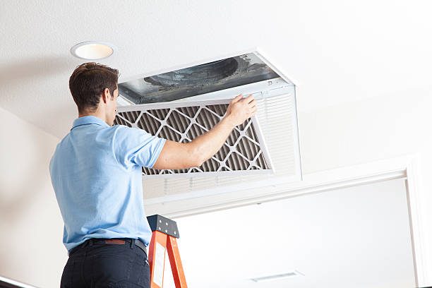 Best Local HVAC companies  in Chinchilla, PA